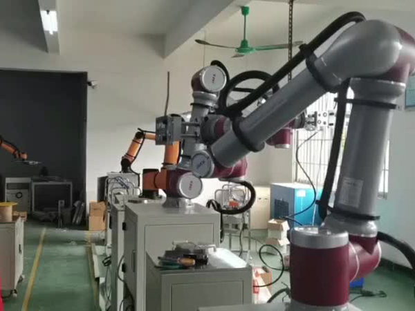 视频案例